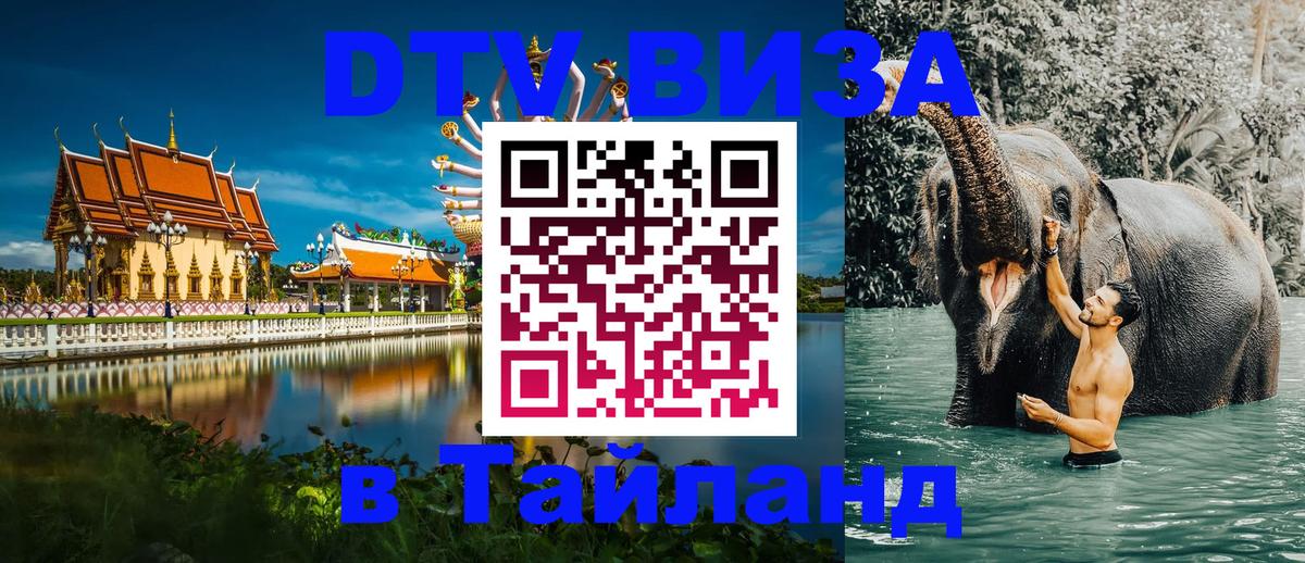 Сколько стоит DTV виза — актуальные цены, оформление даже без документов - Эль-Кувейт  20.11.2025 